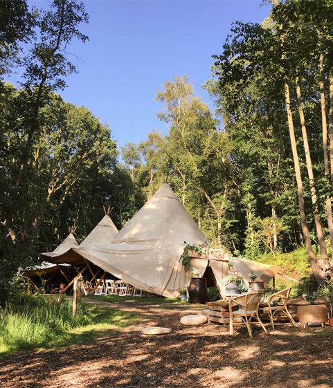 The Woodland GladeThree giant big hat tip tents for your reception and party, set in a clearing in the ancient woodland..